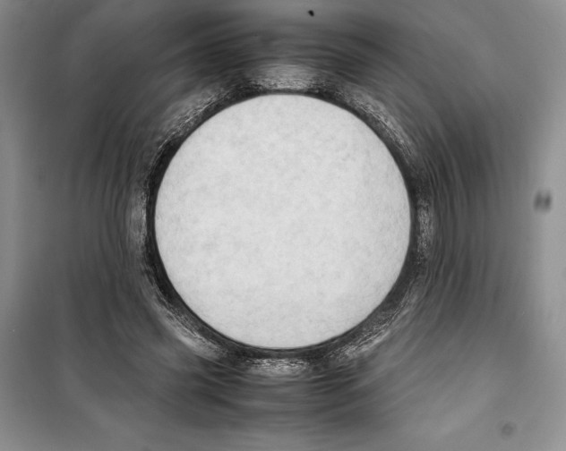 X0000099460541200806061131