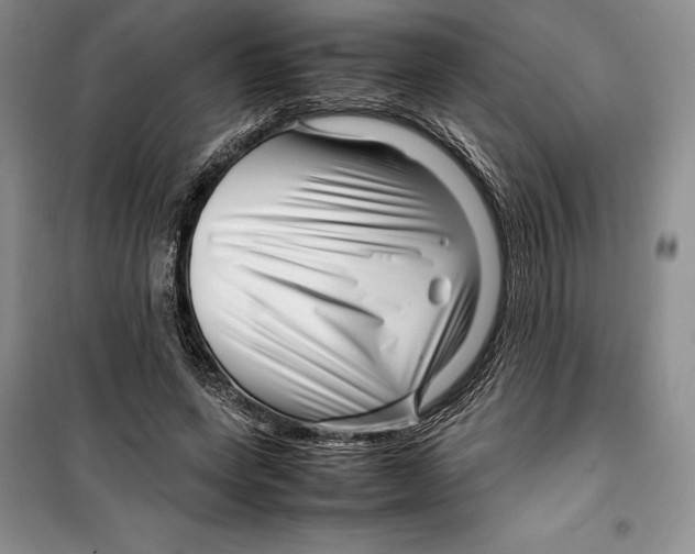 X0000099460543200806061131