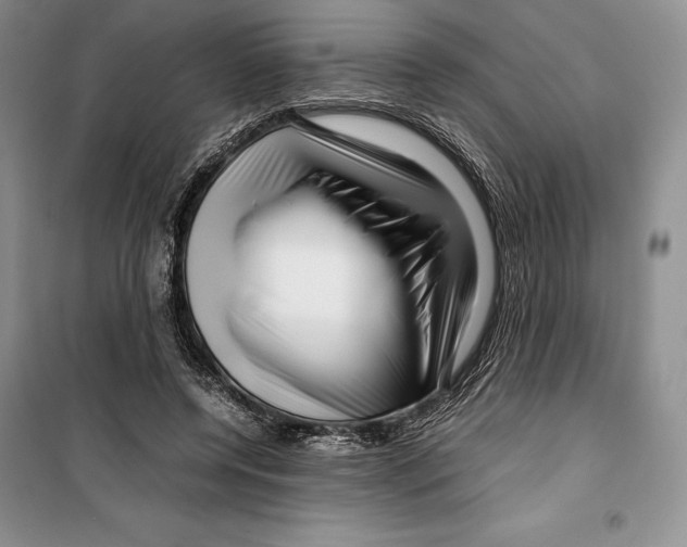 X0000099460544200806061131