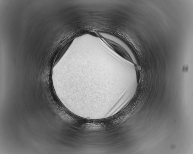 X0000099460545200806061131