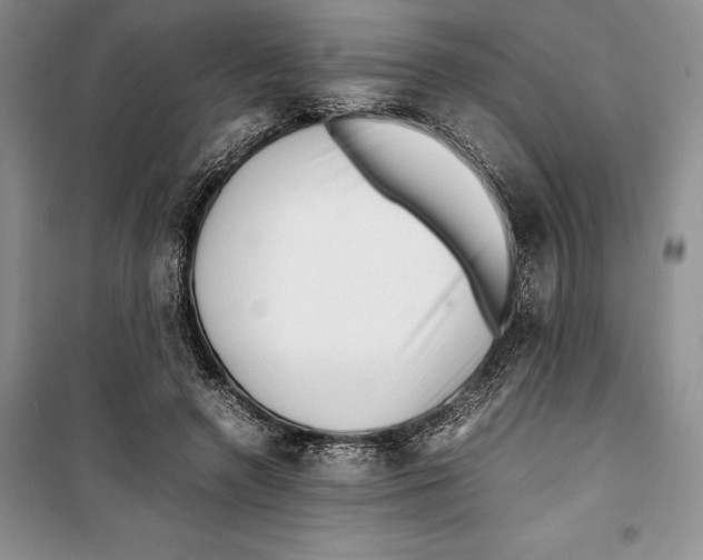 X0000099460546200806061131