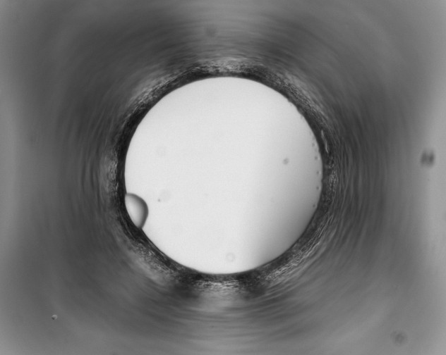 X0000099460548200806061131