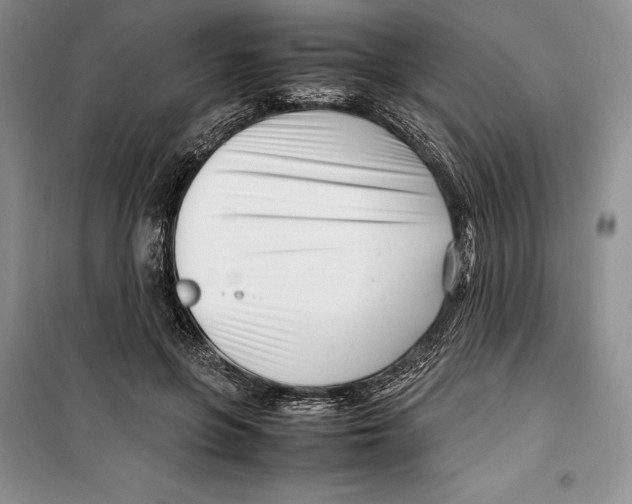 X0000099460551200806061131