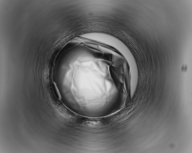 X0000099460552200806061131