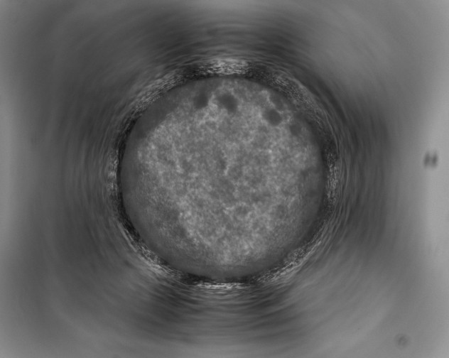 X0000099460553200806061131