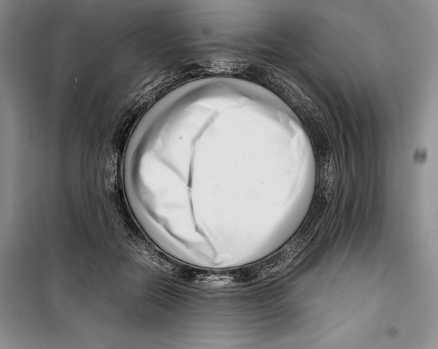 X0000099460554200806061131