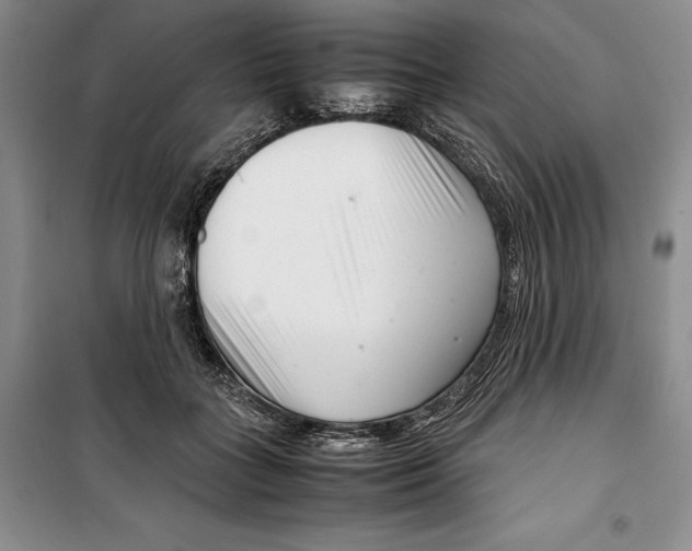 X0000099460555200806061132