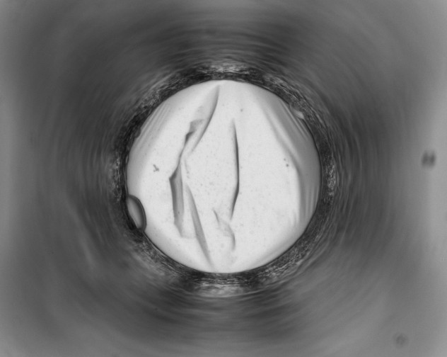 X0000099460559200806061132