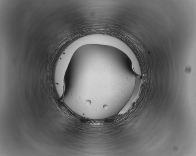 X0000099460560200806061132