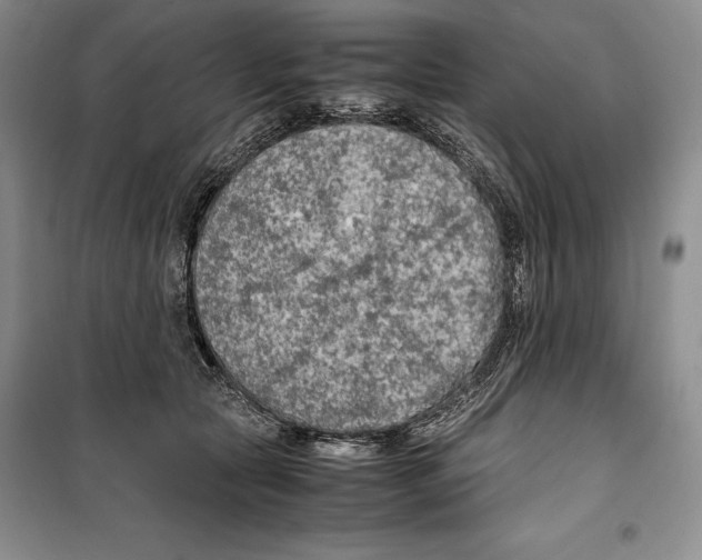 X0000099460561200806061132