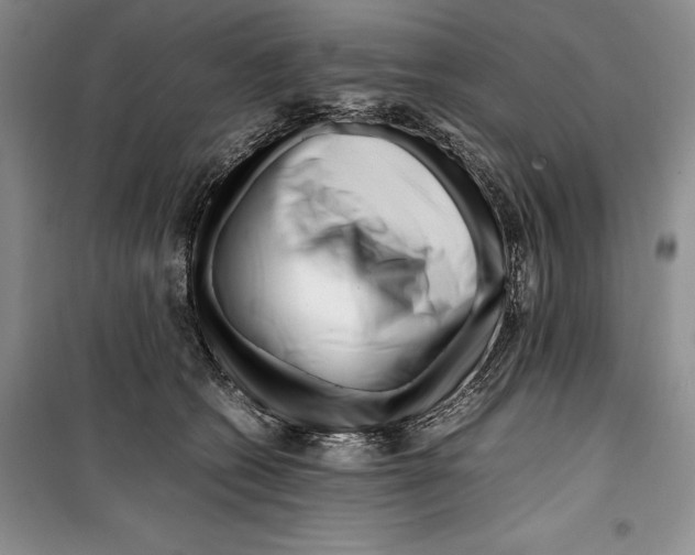 X0000099460562200806061132