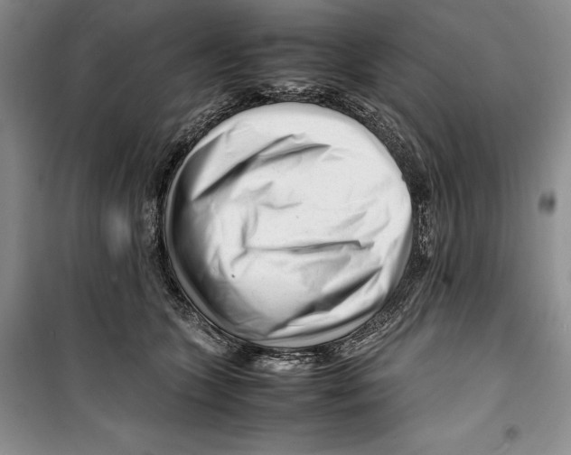 X0000099460563200806061132