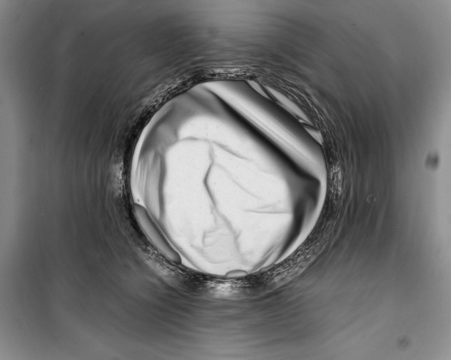 X0000099460564200806061132