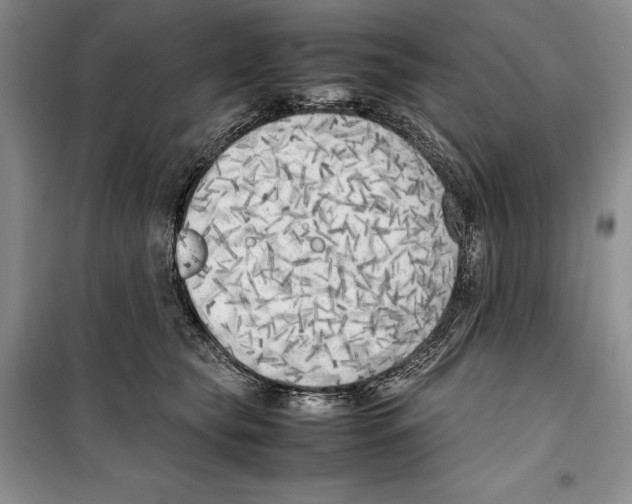 X0000099460565200806061132