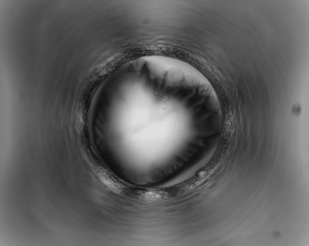 X0000099460566200806061132