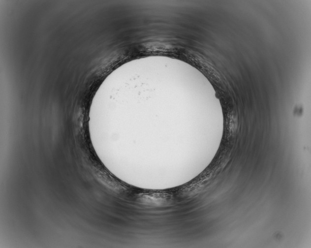 X0000099460567200806061132