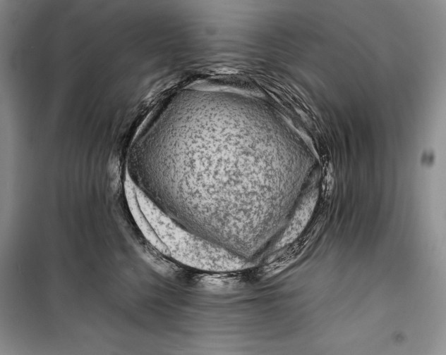 X0000099460568200806061132