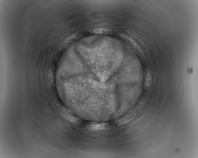 X0000099460569200806061132