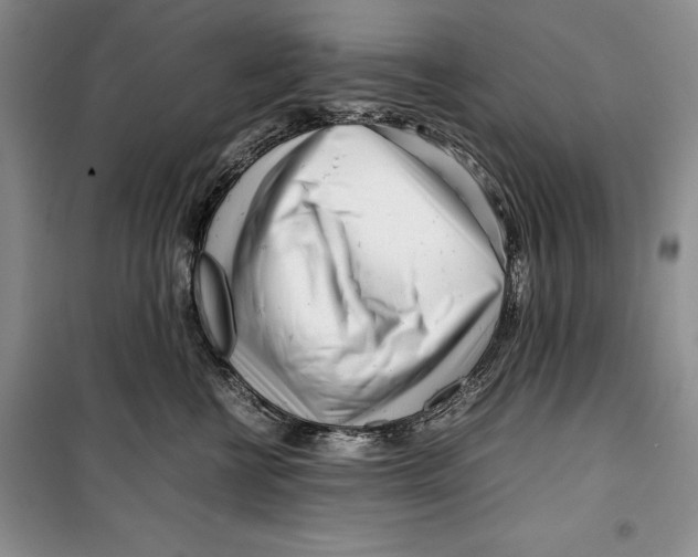 X0000099460570200806061132