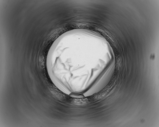 X0000099460571200806061132