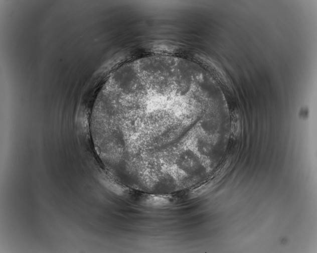 X0000099460573200806061132