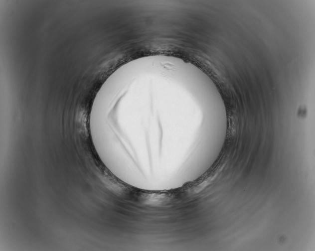 X0000099460575200806061132