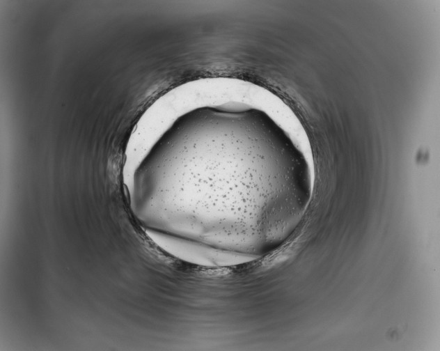 X0000099460576200806061132