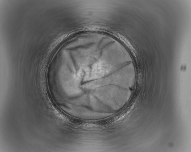 X0000099460577200806061131