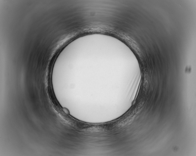 X0000099460578200806061131