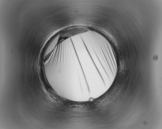 X0000099460580200806061131