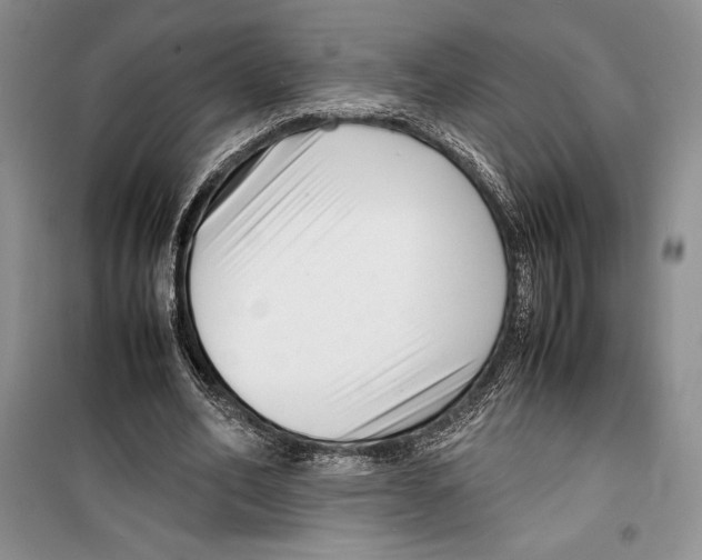 X0000099460582200806061131