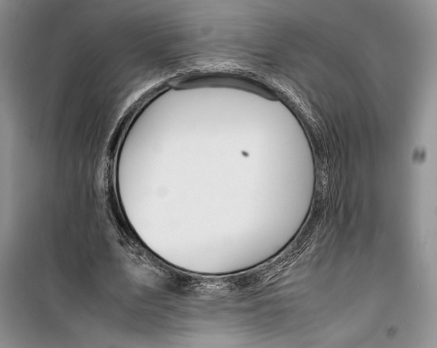 X0000099460583200806061131