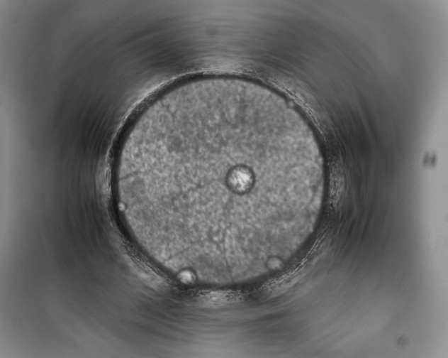 X0000099460584200806061131