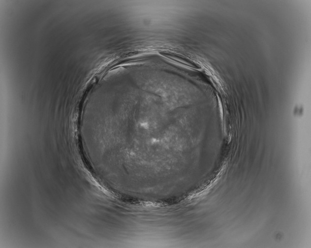 X0000099460585200806061131