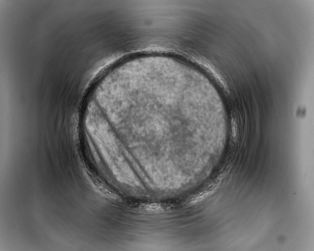 X0000099460588200806061131