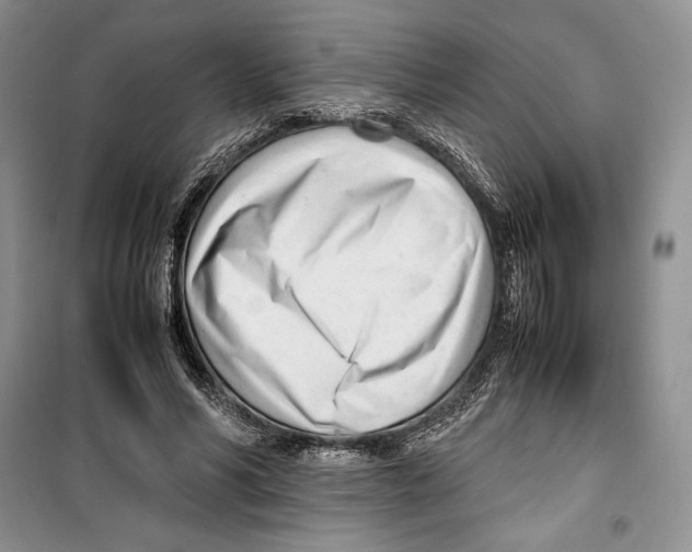 X0000099460590200806061131