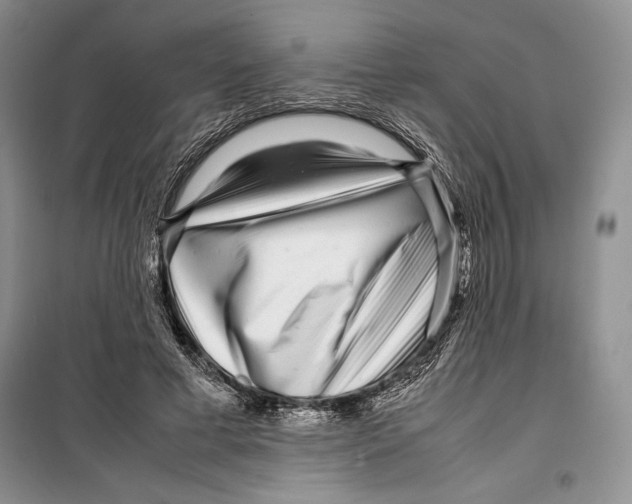 X0000099460593200806061131