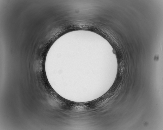 X0000099460595200806061131