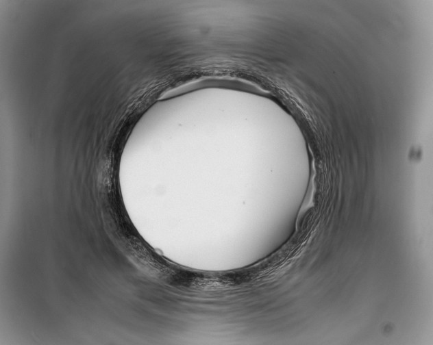 X0000099460597200806061131