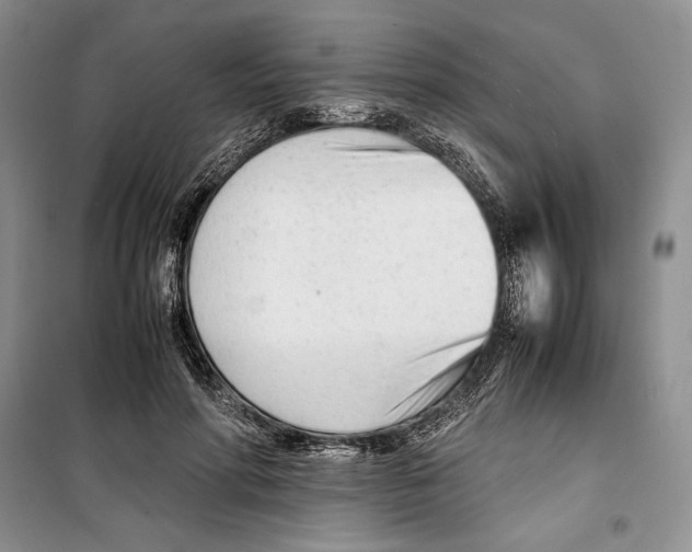 X0000099460598200806061131