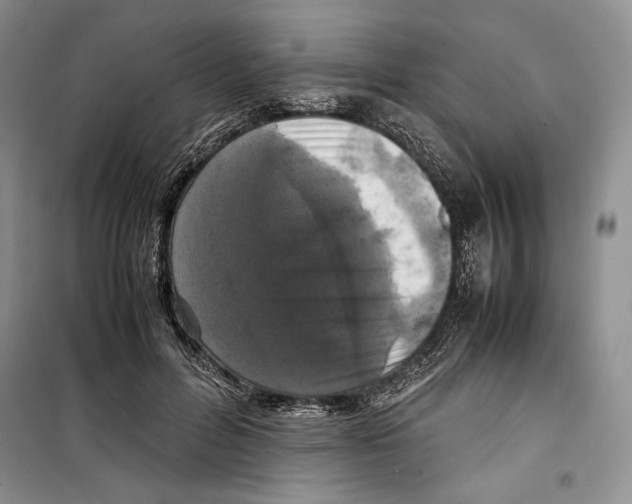 X0000099460600200806061131