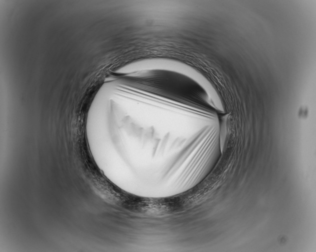 X0000099460601200806061131