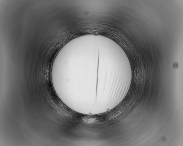 X0000099460602200806061131