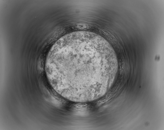 X0000099460606200806061131