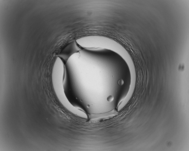 X0000099460609200806061131