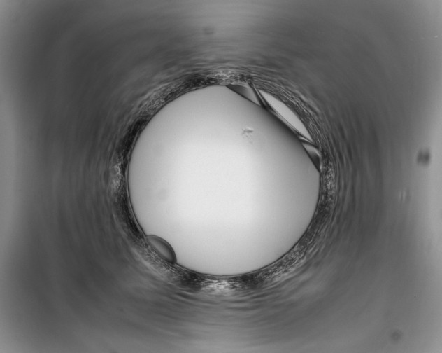 X0000099460611200806061131