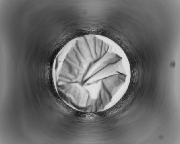 X0000099460612200806061131