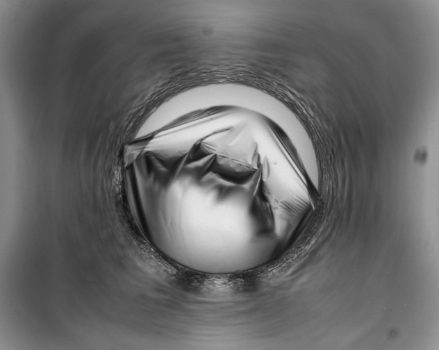 X0000099460613200806061131