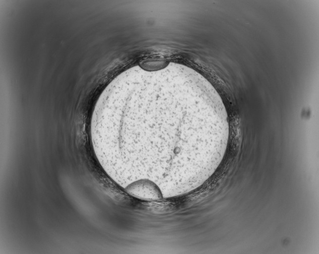 X0000099460615200806061131