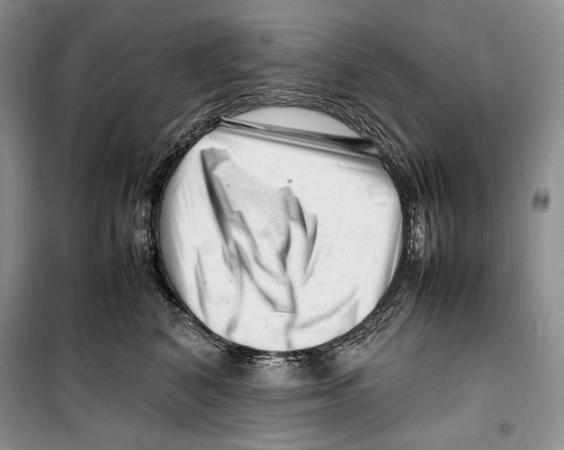 X0000099460616200806061131